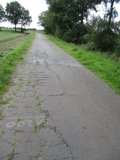 Straße im Flurbereinigungsgebiet Burlage