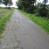 Straße im Flurbereinigungsgebiet Burlage